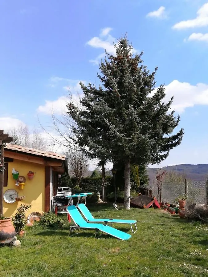 Апартаменты Casa Rous Мольо 0*,  Испания